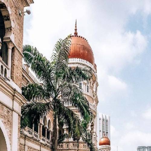 میثم حسینی  گفتی برو 